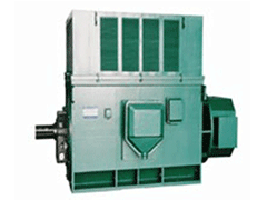 Y5002-8YR高压三相异步电机