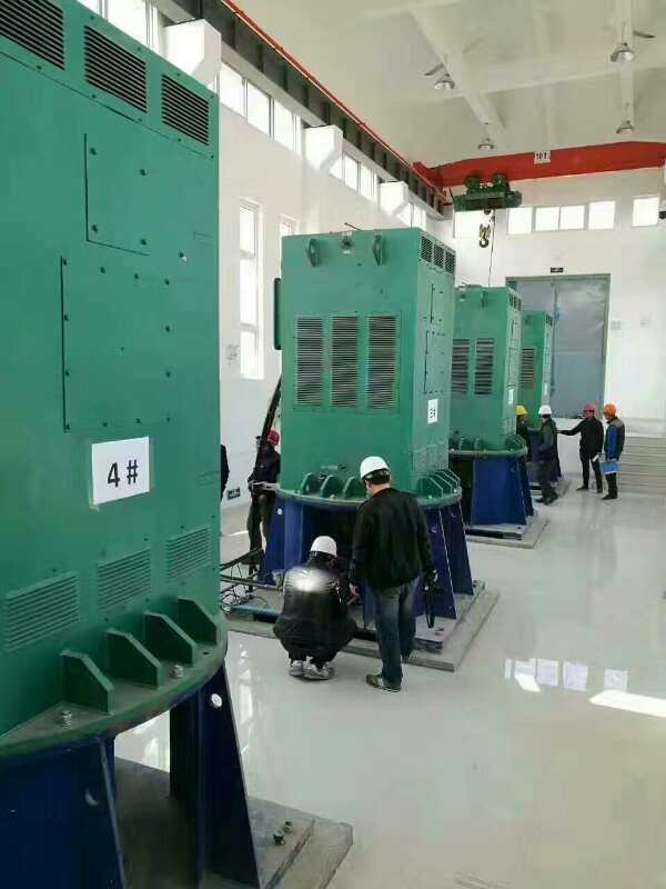 Y5002-8某污水处理厂使用我厂的立式高压电机安装现场