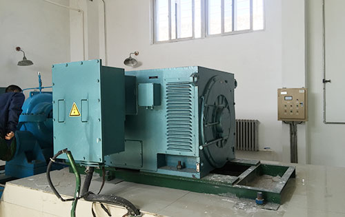 Y5002-8某水电站工程主水泵使用我公司高压电机