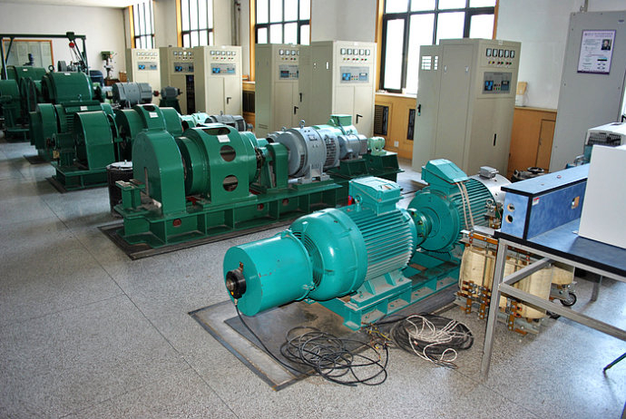 Y5002-8某热电厂使用我厂的YKK高压电机提供动力