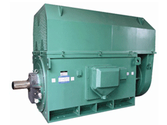 Y5002-8YKK系列高压电机