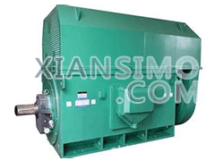 Y5002-8YXKK(2极)高效高压电机技术参数