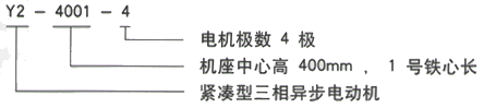 YR系列(H355-1000)高压Y5002-8三相异步电机西安西玛电机型号说明